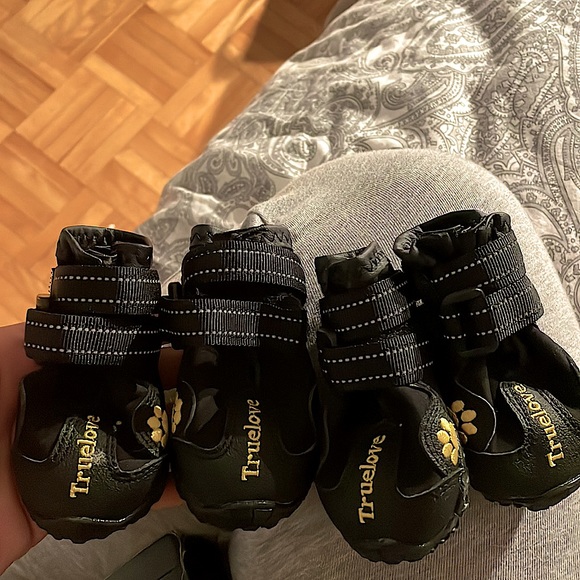 Like brand new, size 2! Tried on my bichon, but too big for her. - Picture 3 of 4